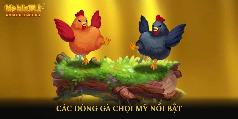 Các Dòng Gà Chọi Mỹ Nổi Bật