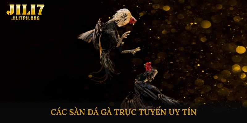 Các Sàn Đá Gà Trực Tuyến Uy Tín