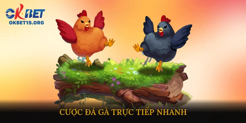 cược đá gà trực tuyến