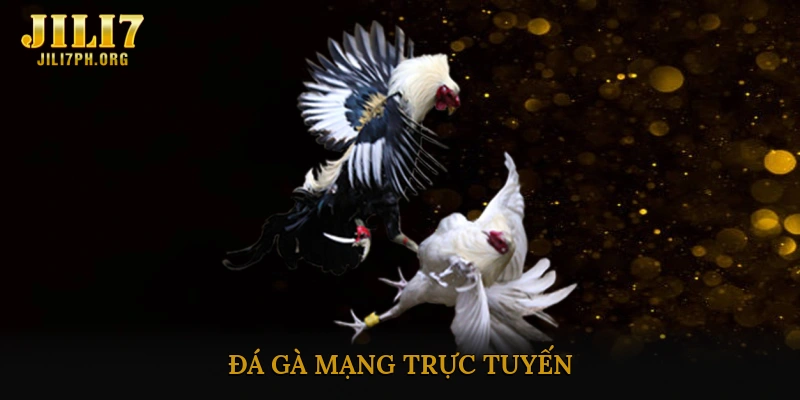 Đá gà mạng trực tuyến