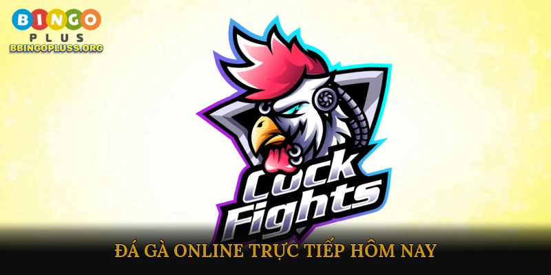 Đá gà online trực tiếp hôm nay