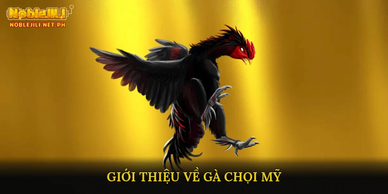 Giới thiệu về Gà Chọi Mỹ