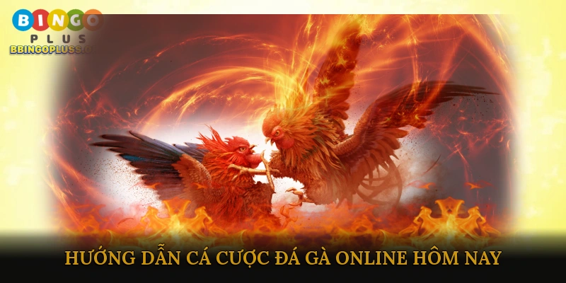 Hướng dẫn cá cược đá gà online hôm nay