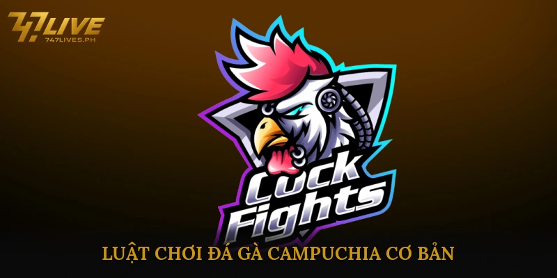 Luật chơi đá gà Campuchia cơ bản