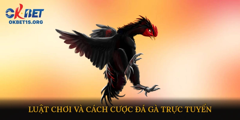 Luật chơi và cách cược đá gà trực tuyến