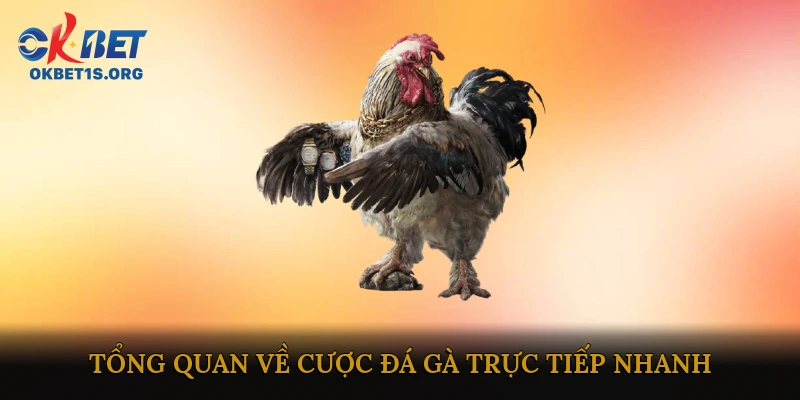 Tổng quan về cược đá gà trực tiếp nhanh