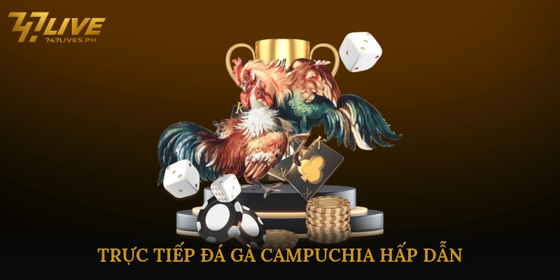 Trực tiếp đá gà Campuchia hấp dẫn
