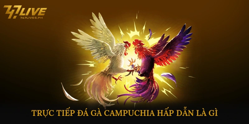 Trực tiếp đá gà Campuchia hấp dẫn là gì