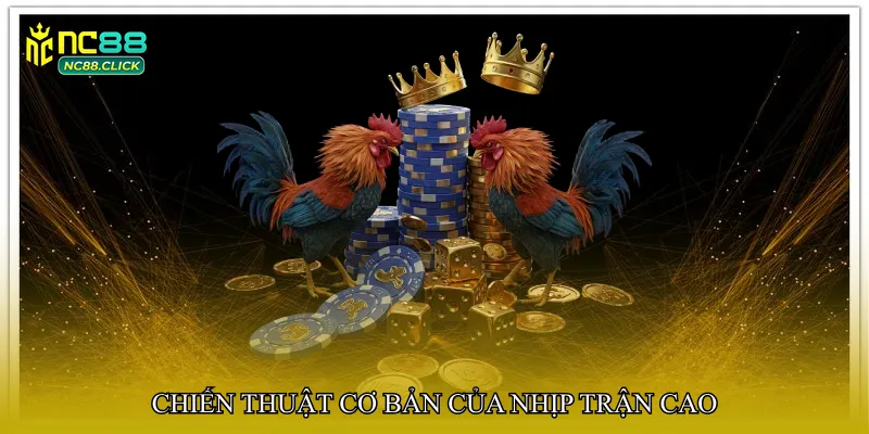 Chiến thuật cơ bản của nhịp trận cao
