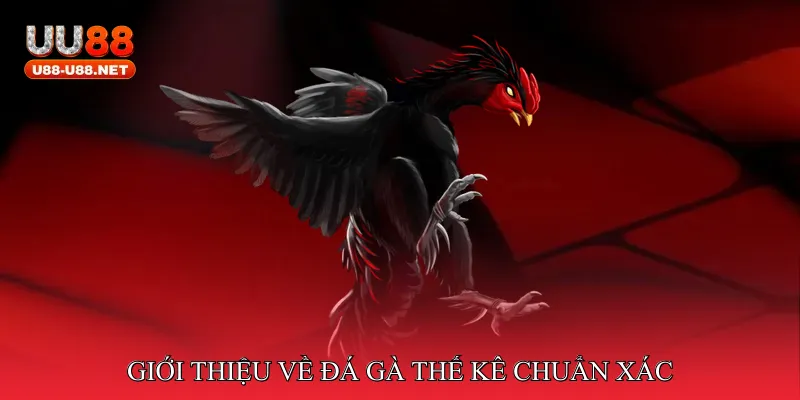 Giới thiệu về đá gà thế kê chuẩn xác