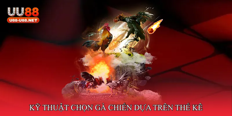 Kỹ thuật chọn gà chiến dựa trên thế kê