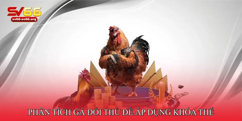 Phân tích gà đối thủ để áp dụng khóa thế