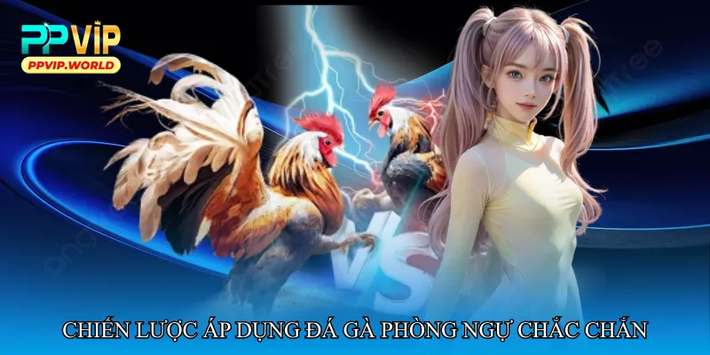 Chiến lược áp dụng Đá gà phòng ngự chắc chắn
