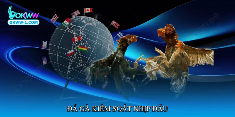 Đá gà kiểm soát nhịp đấu