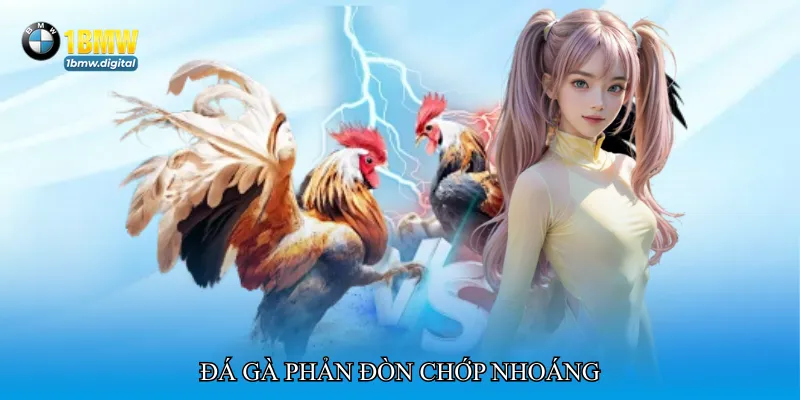 Đá gà phản đòn chớp nhoáng