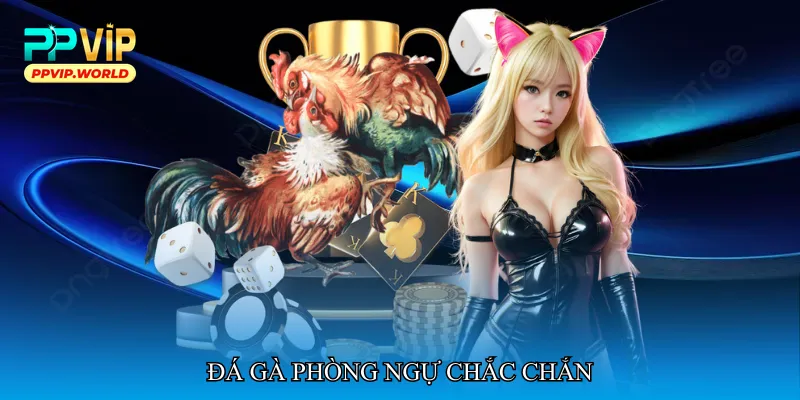 Đá gà phòng ngự chắc chắn